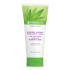 Hand & Body Lotion